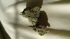 User uploaded image of Purple Panty Dropper