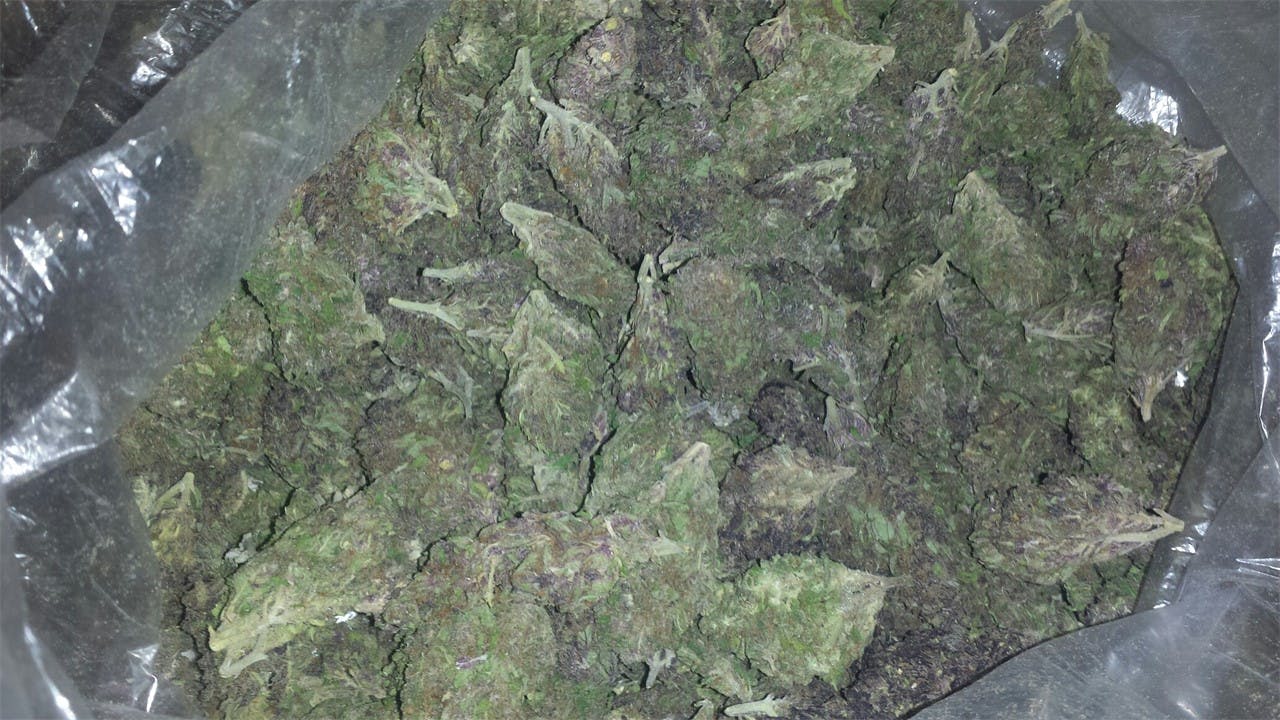 Purple Panty Dropper Weed Strain Effects & Reviews Leafly