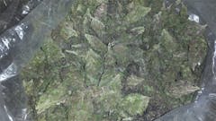 User uploaded image of Purple Panty Dropper