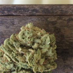 User uploaded image of Purple Panty Dropper