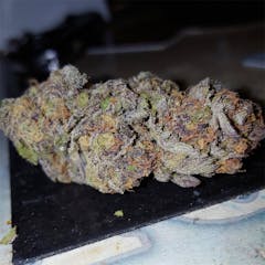 User uploaded image of Purple Panty Dropper