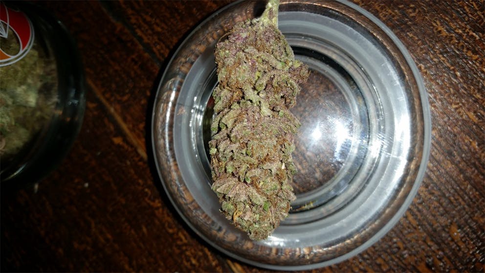 Photos of Purple Panty Dropper Weed Strain Buds Leafly