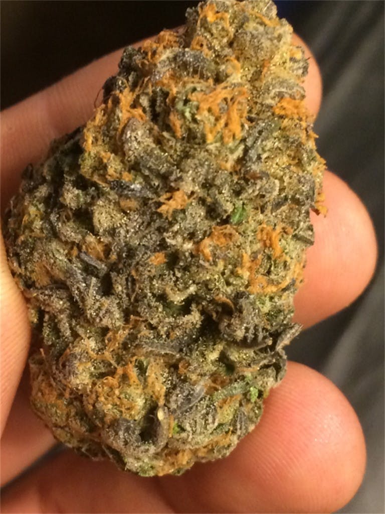 Purple Paralysis aka Jellyfish Bud Weed Strain Information Leafly