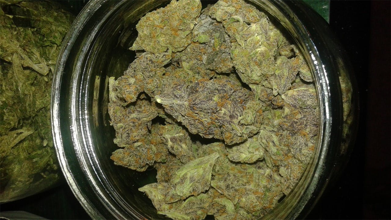 Purple Paralysis aka Jellyfish Bud Weed Strain Information Leafly