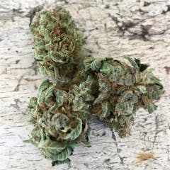 User uploaded image of Purple Passion