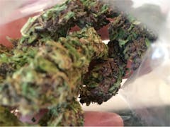 User uploaded image of Purple Passion