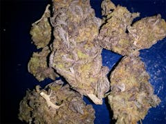 User uploaded image of Purple People Eater