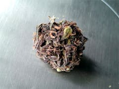 User uploaded image of Purple Power