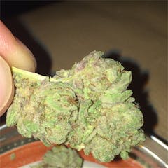 User uploaded image of Purple Power