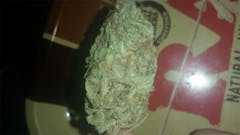 User uploaded image of Purple Princess