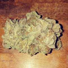 User uploaded image of Purple Princess