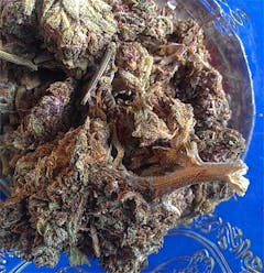User uploaded image of Purple Princess