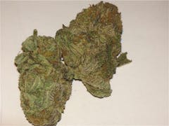User uploaded image of Purple Punch