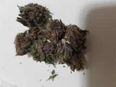 User uploaded image of Purple Raine