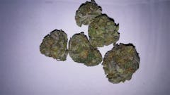 User uploaded image of Purple Rhino