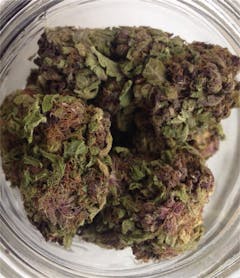 User uploaded image of Purple Rhino