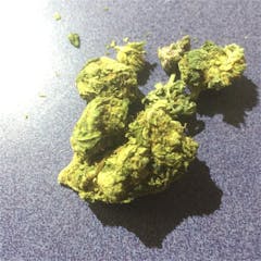 User uploaded image of Purple Rhino