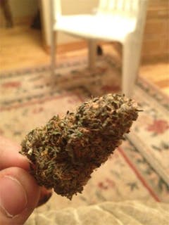 User uploaded image of Purple Sage