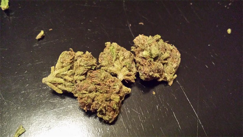 Photos of Purple Skunk Weed Strain Buds | Leafly