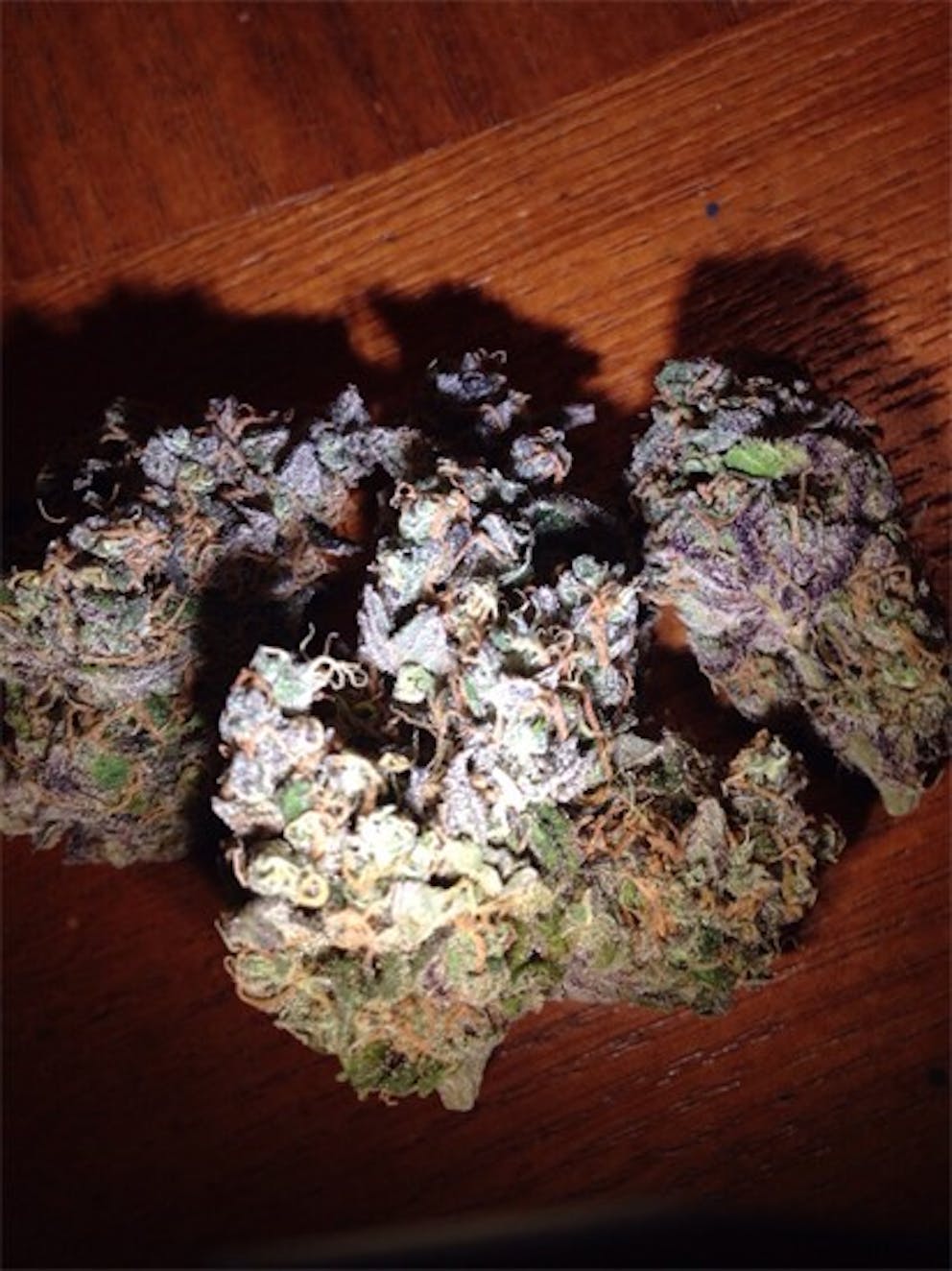 Photos of Purple Skunk Weed Strain Buds | Leafly