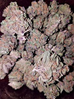 User uploaded image of Purple Skunk