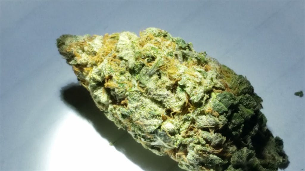 Photos of Purple Skunk Weed Strain Buds | Leafly