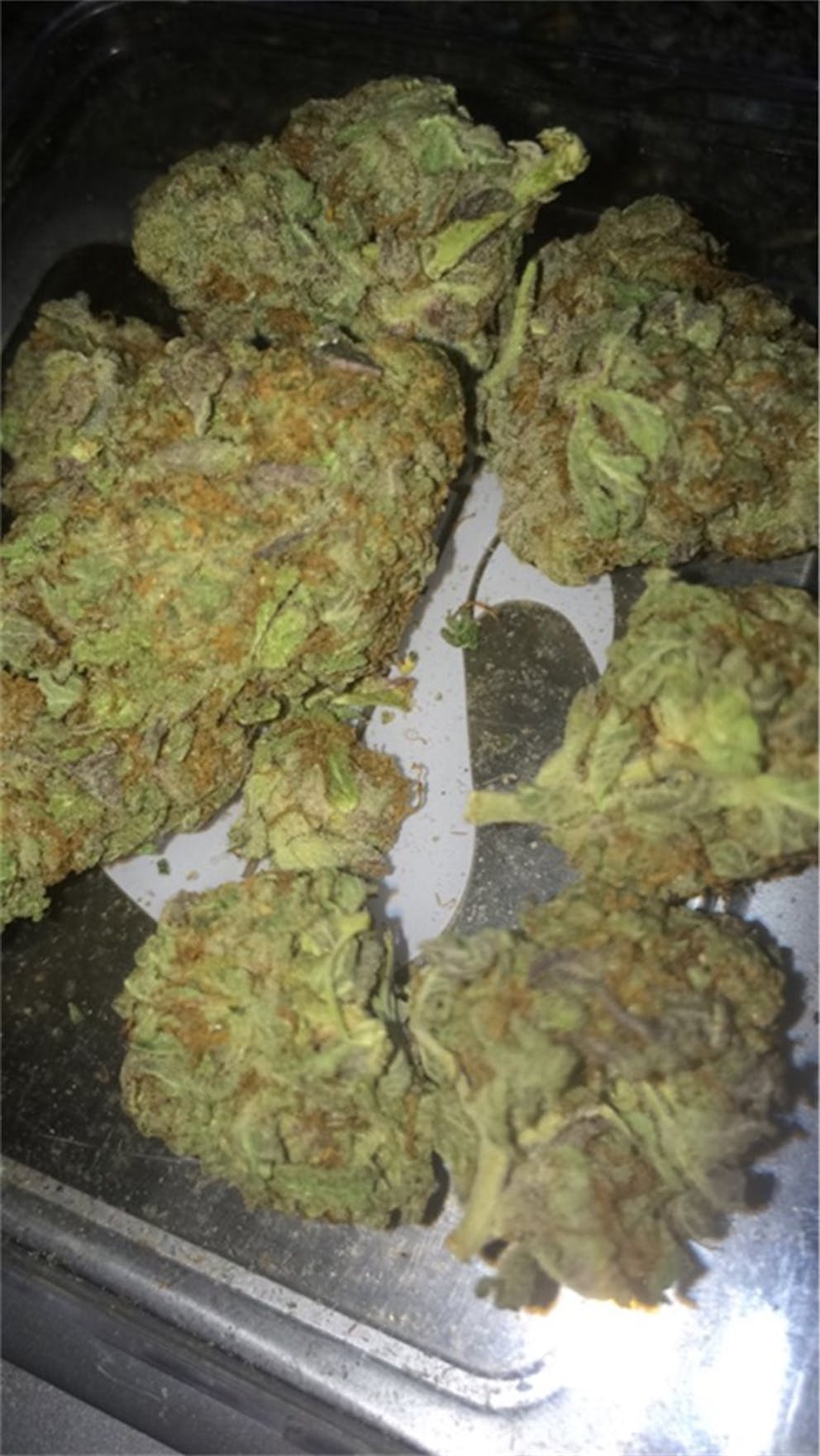 Photos of Purple Skunk Weed Strain Buds | Leafly