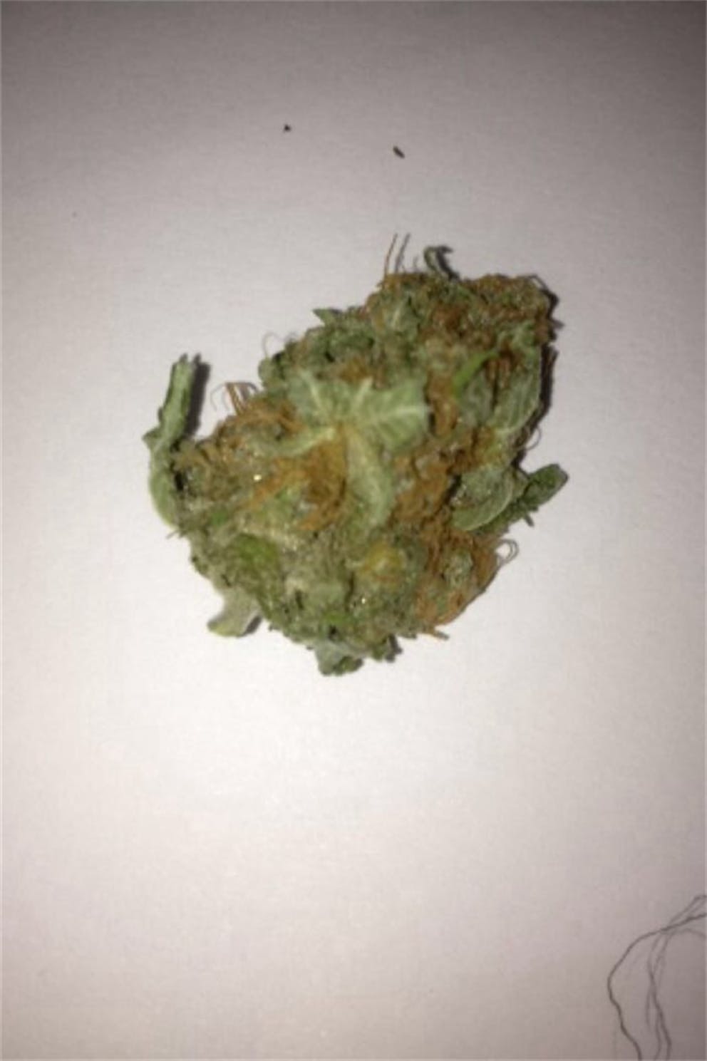 Photos of Purple Skunk Weed Strain Buds | Leafly