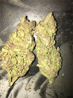 User uploaded image of Purple Skunk
