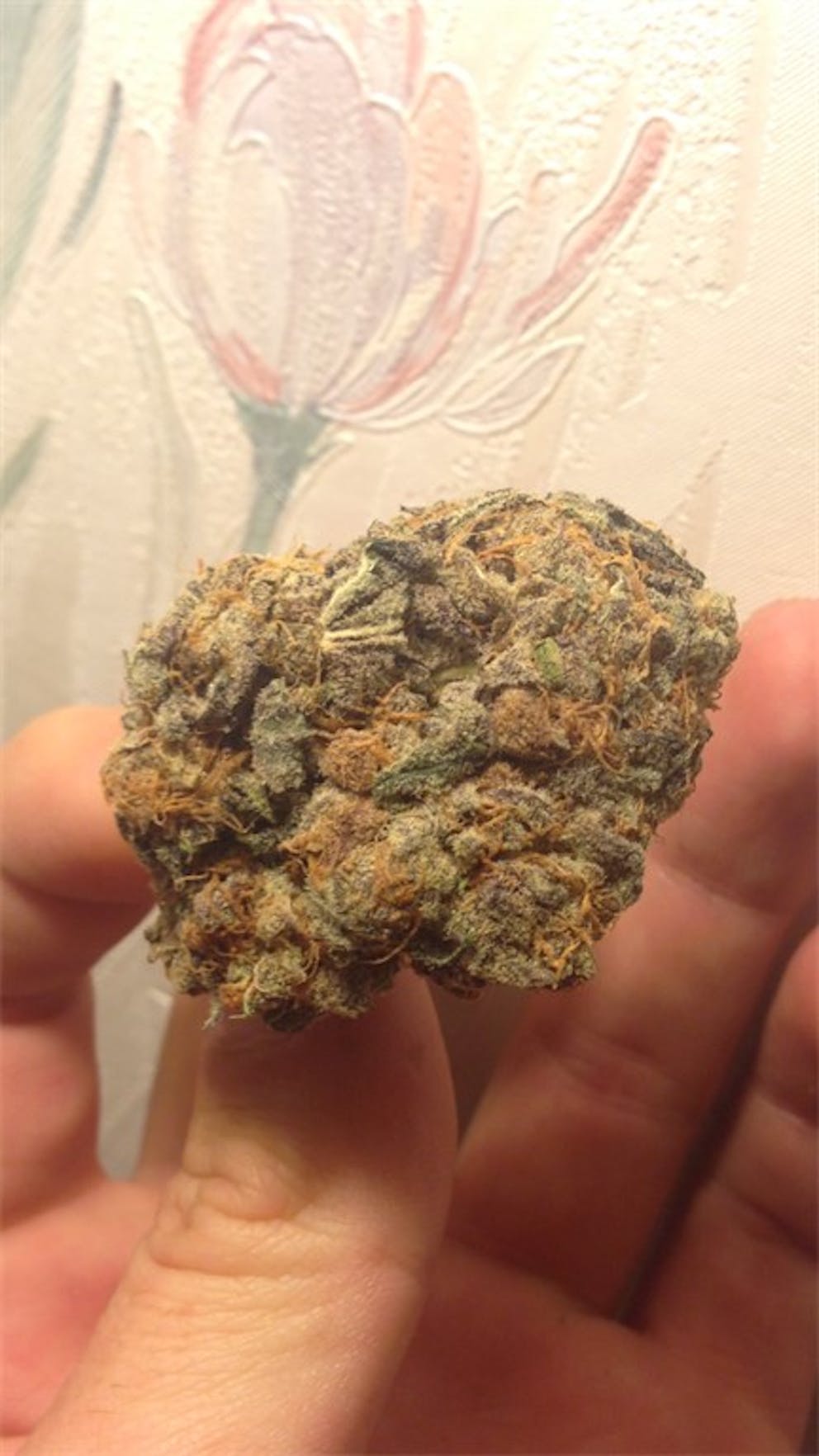 Photos of Purple Skunk Weed Strain Buds | Leafly