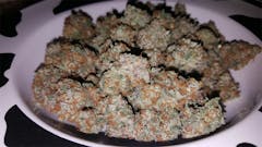 User uploaded image of Purple Skunk