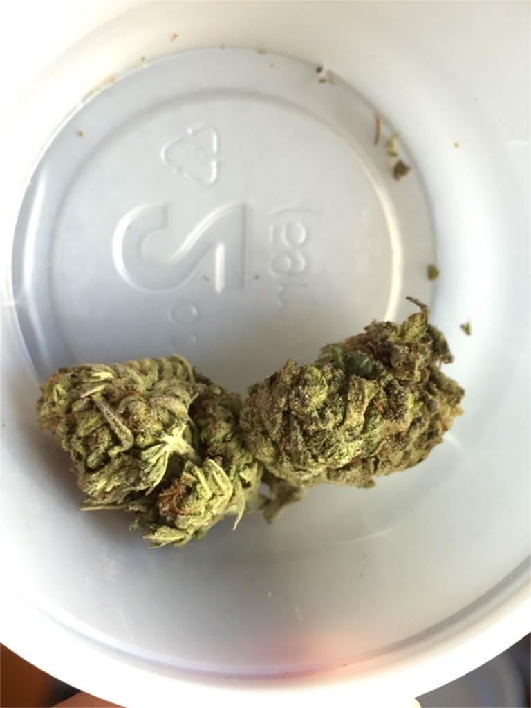 Photos of Purple Skunk Weed Strain Buds | Leafly