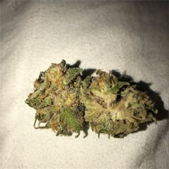 User uploaded image of Purple Sour Diesel