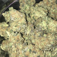 User uploaded image of Purple Sour Diesel