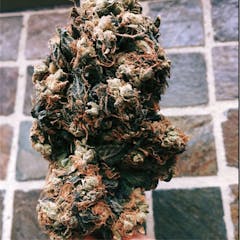 User uploaded image of Purple Sour Diesel