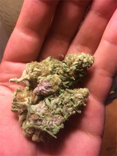 User uploaded image of Purple Star