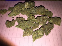 User uploaded image of Purple Star