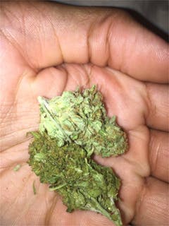 User uploaded image of Purple Star