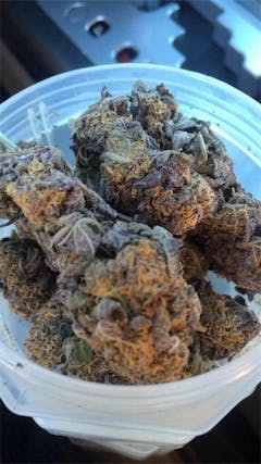 User uploaded image of Purple Star