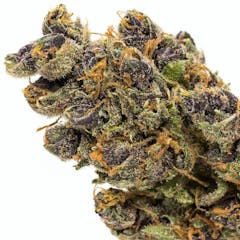 User uploaded image of Purple Tangie