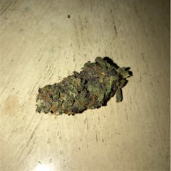 User uploaded image of Purple Tangie