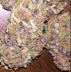 User uploaded image of Purple Tangie