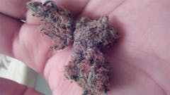 User uploaded image of Purple Thai