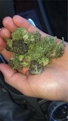 User uploaded image of Purple Thai