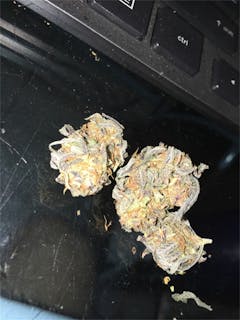 User uploaded image of Purple Thai