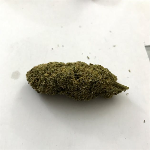 Photos of Purple Thai Weed Strain Buds Leafly