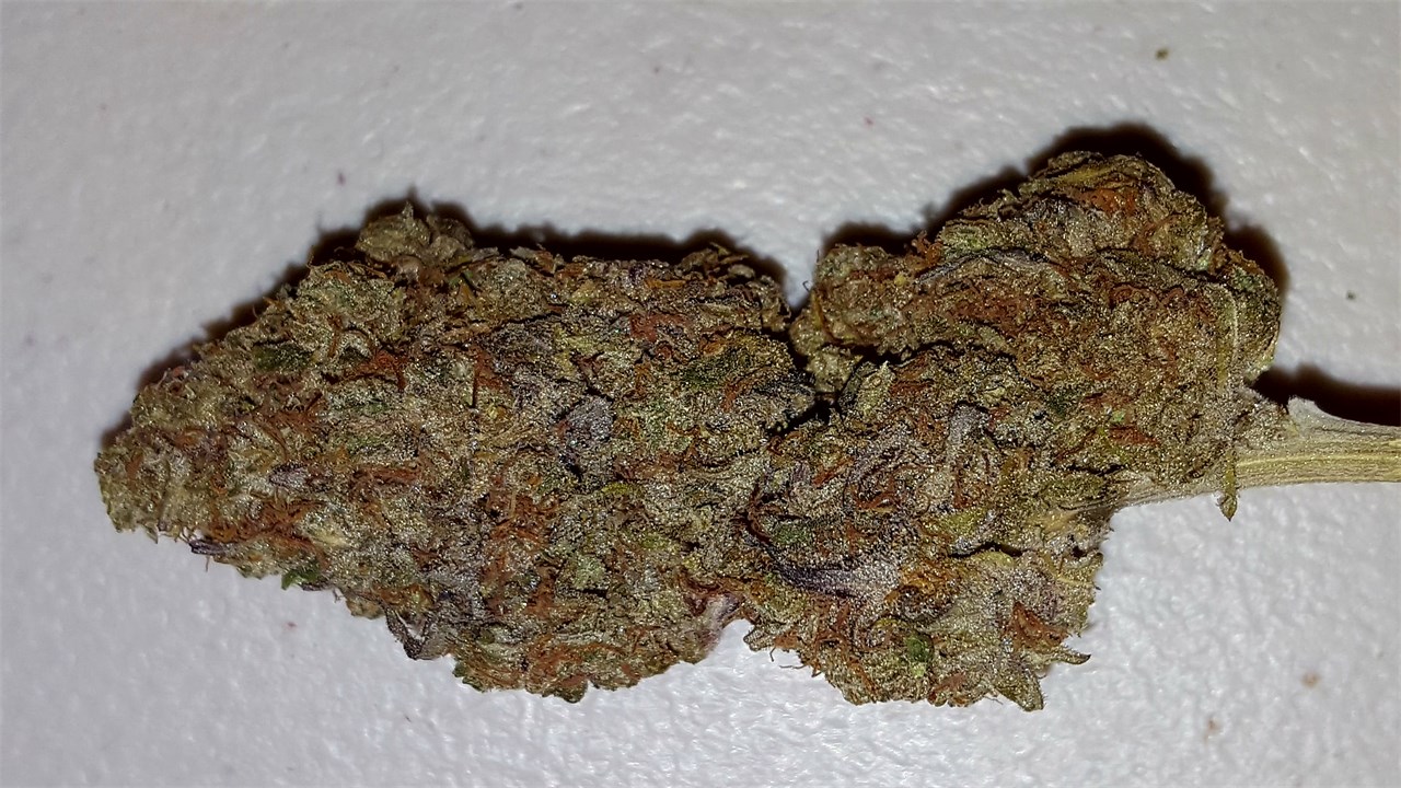 purple trainwreck weed