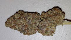 User uploaded image of Purple Trainwreck