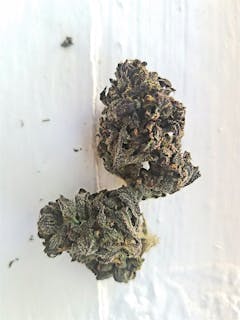 User uploaded image of Purple Trainwreck