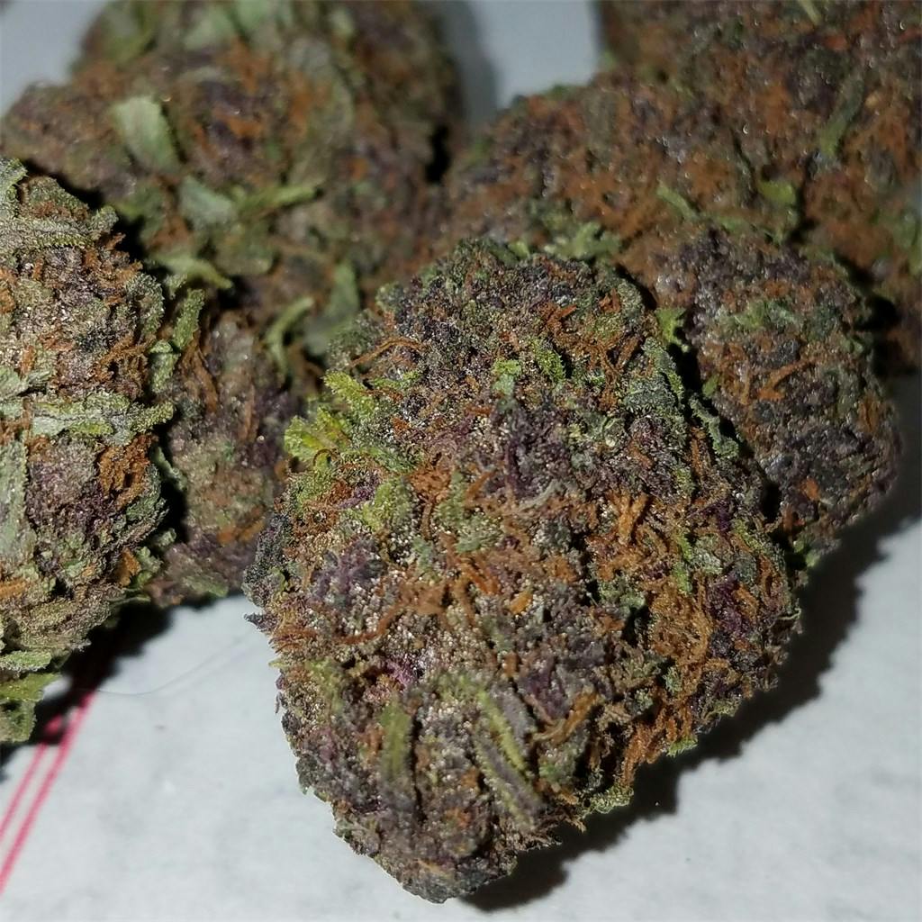 Photos of Purple Urkle Weed Strain Buds | Leafly